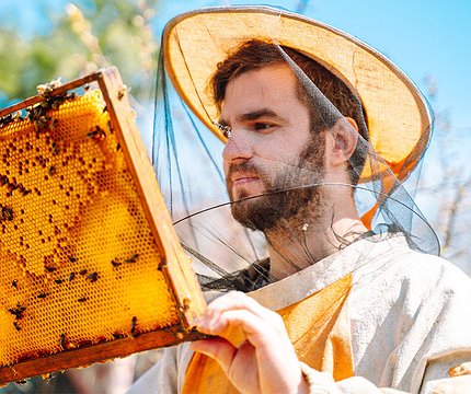 Крем-мед і бджоли у смартфоні: 7 унікальних пасік під Києвом - 412x412