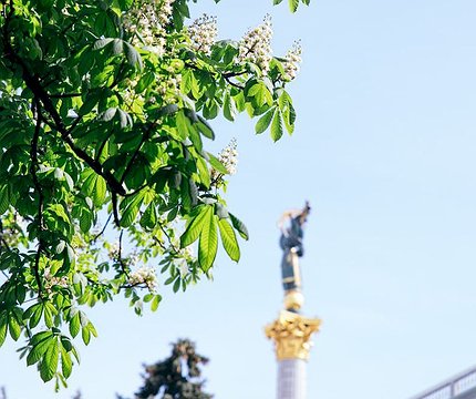 На День Києва у столиці прикрашатимуть тризуба-рекордсмена - 412x412