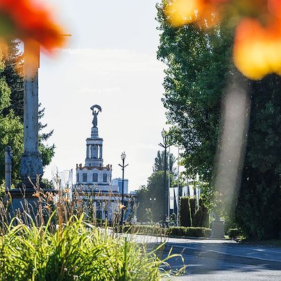 Квіткові фотозони, інсталяції та нові локації: на ВДНГ стартувало "Квітоліто" - 412x412