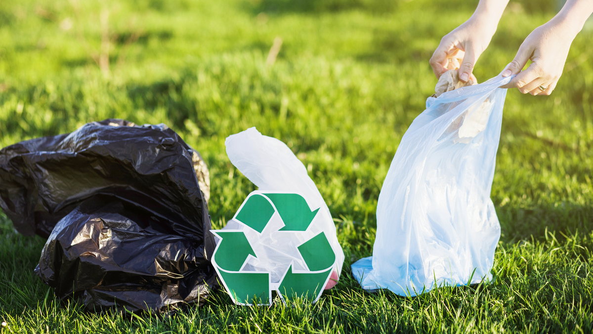 Як очистити столицю від сміття? 5 корисних програм для киян