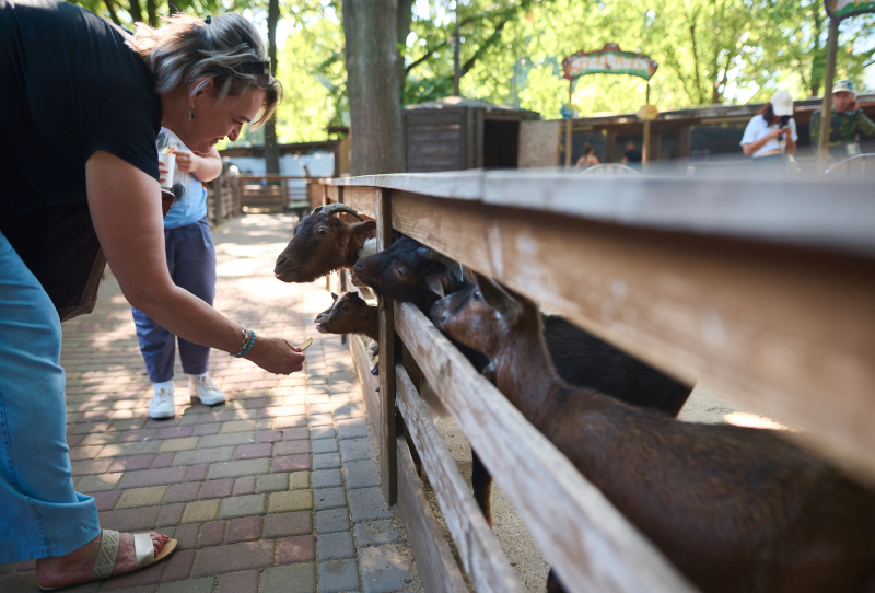 Animal Park на ВДНГ