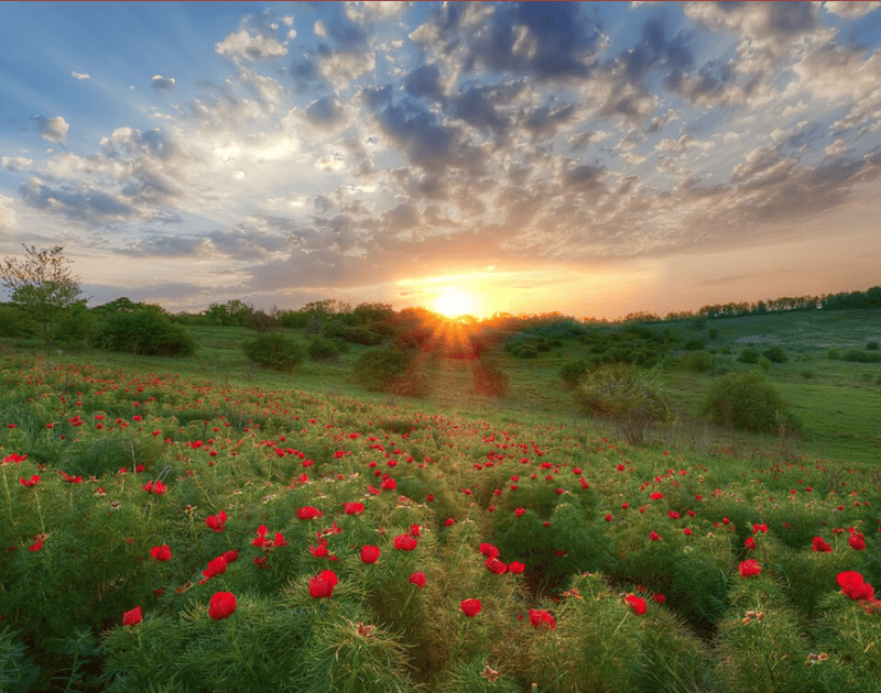 Донецька область