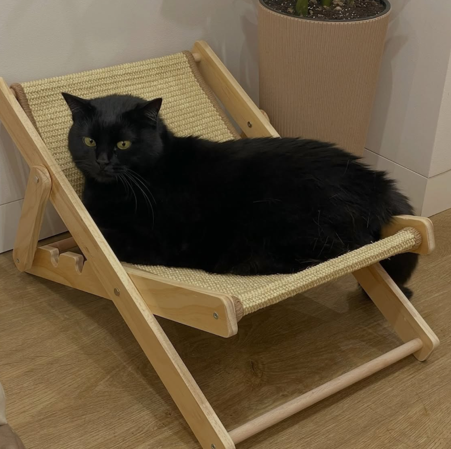 Котячий шезлонг