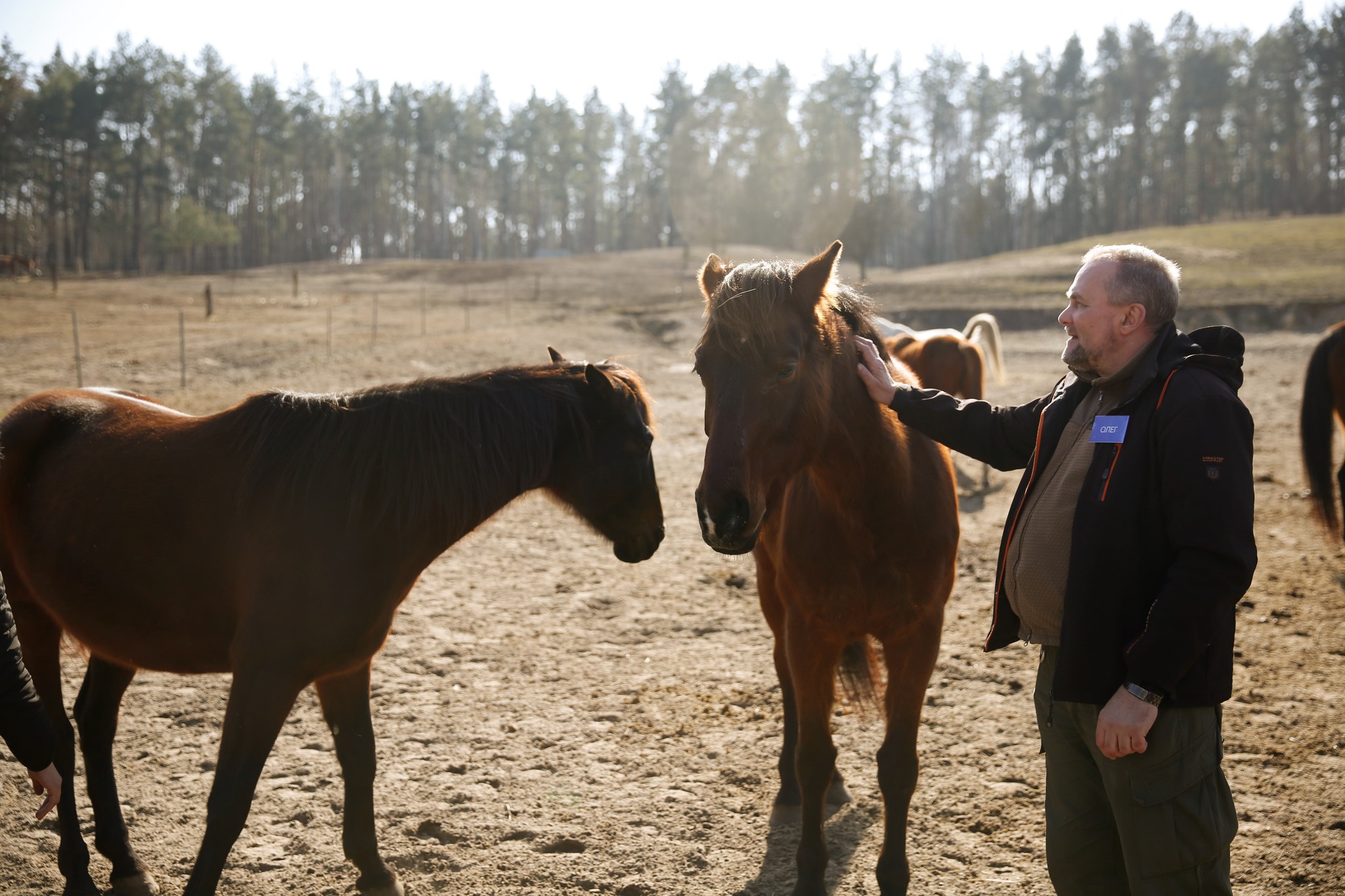 На ранчо в Київській області запустили програму з психоемоційного відновлення ветеранів