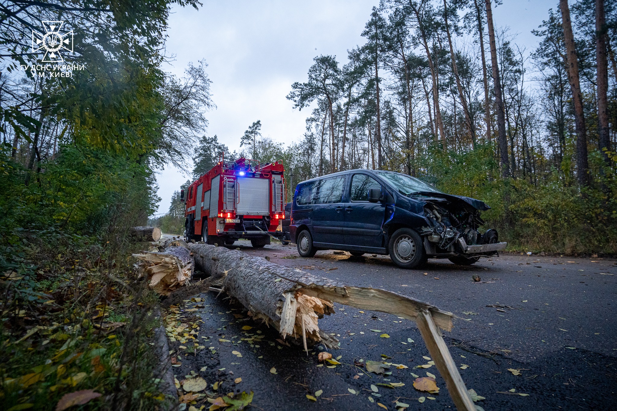 Ураганний вітер наробив лиха в Києві (оновлюється)