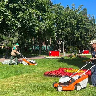У Києві визначили майже 90 локацій, де не будуть косити траву: яка причина - 412x412