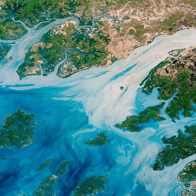 П'ята частина вод світового океану потемніла: вчені пояснили, що відбувається - 412x412