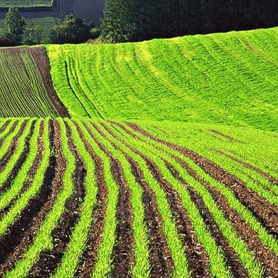 У Києві конфіскували чотири земельні ділянки, які належали росіянам - 412x412