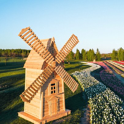 Вже незабаром у Добропарку почнуть квітнути тюльпани: коли старт сезону - 412x412