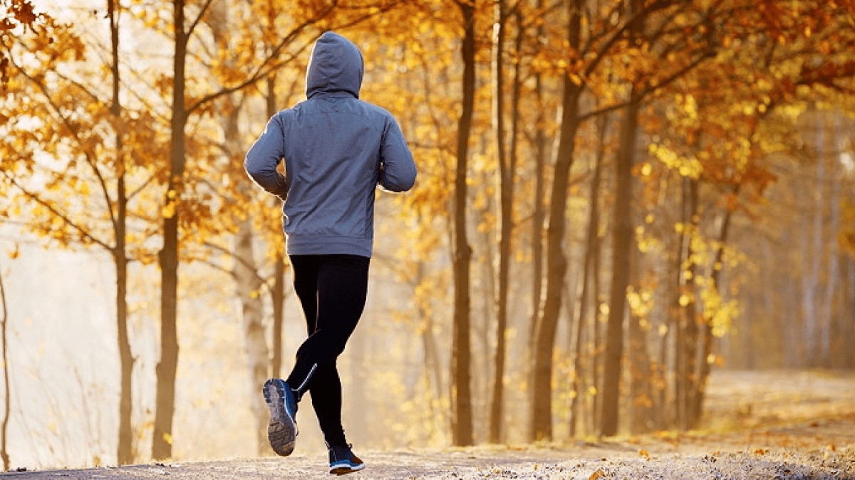 Бігун створив GPS-малюнок "Мова" у Києві до Дня писемності