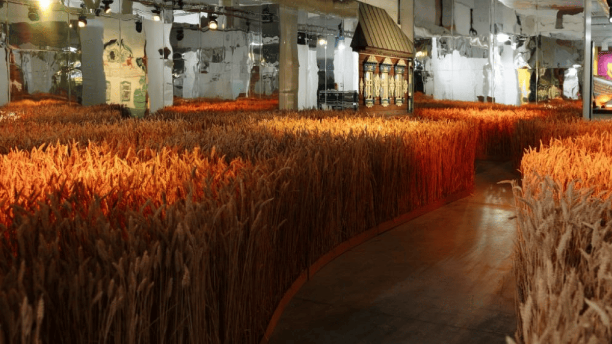 Ukraine WOW оновлює експозицію на зимовий сезон: що чекає на відвідувачів