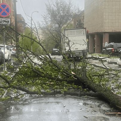 У Києві негода повалила 150-річний каштан Іващенка - 412x412