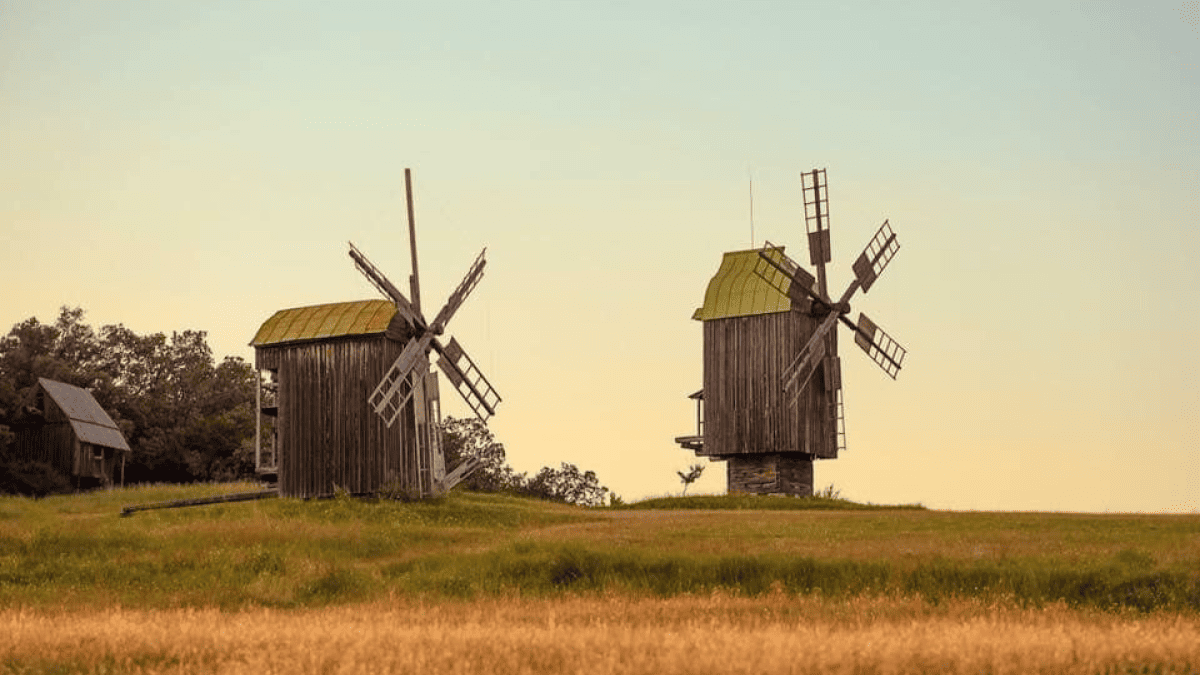 Музей у Пирогові захистили від хаотичної забудови