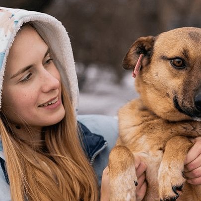 Київ, який допомагає: хто рятує тварин разом із Gostomel Shelter - 412x412