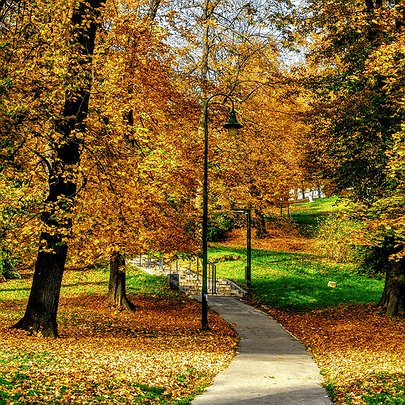 Назву безіменного скверу у Солом'янському районі хочуть присвятити рятувальникам - 412x412