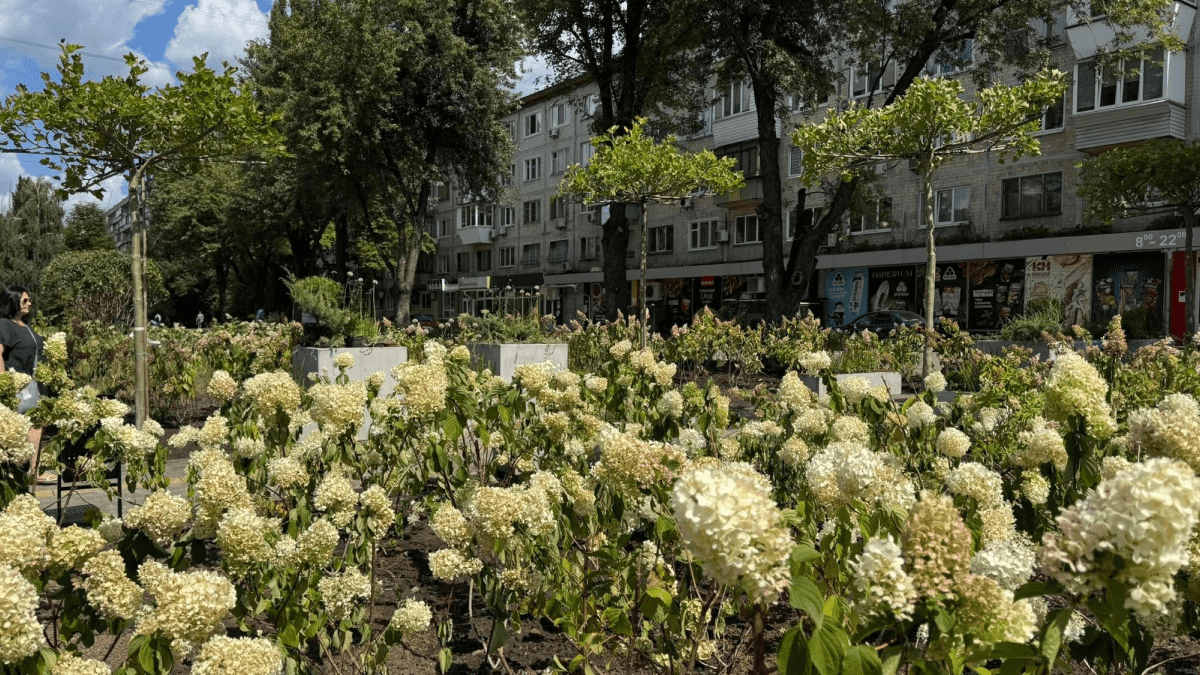 Біля Нивок на місці демонтованих кіосків відновили сквер: фото