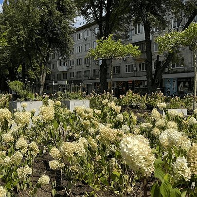 Біля Нивок на місці демонтованих кіосків відновили сквер: фото - 412x412