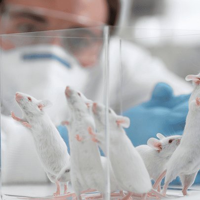 Вчені змогли вилікувати рак у мишей: чому це важливо для людства - 412x412