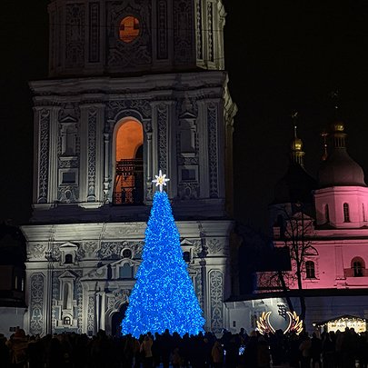 Стало відомо, звідки привезуть головну ялинку країни цього року - 412x412