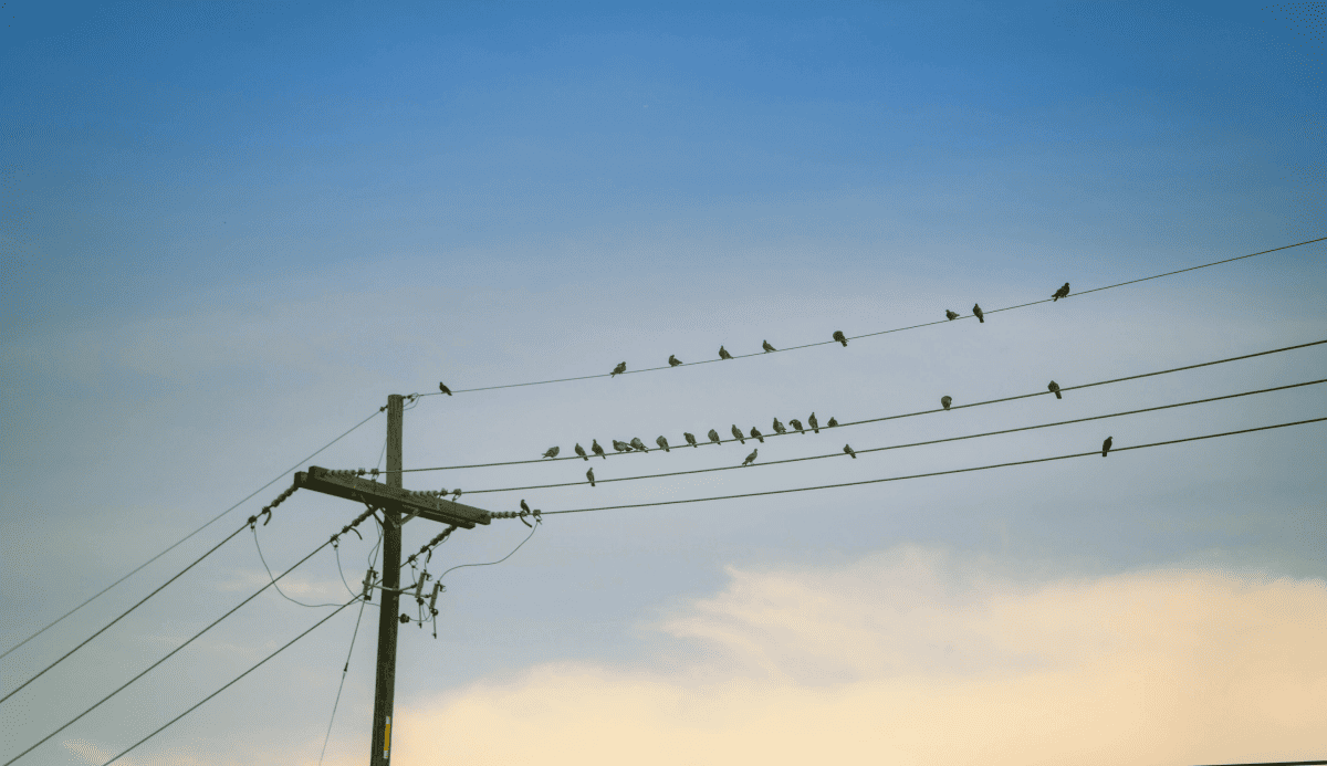 На вихідних очікується зменшення тривалості відключень світла