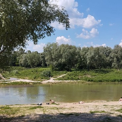 Київ намагається відновити озеро Синє: яка ситуація зараз - 412x412