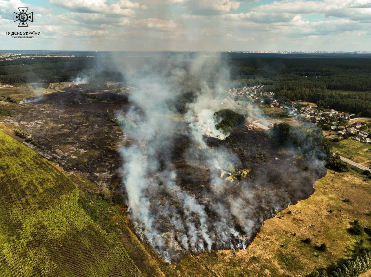 На Київщині майже добу горять торфовища — ситуація складна