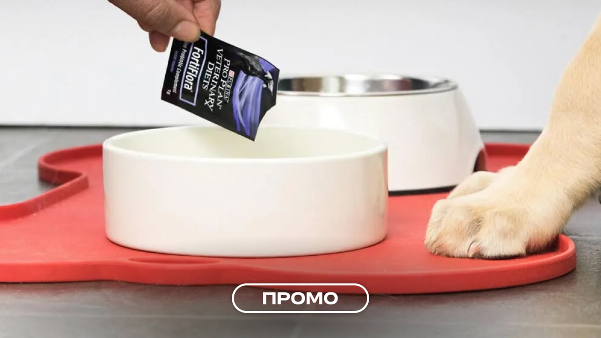 Пробіотики для собак: користь для травлення