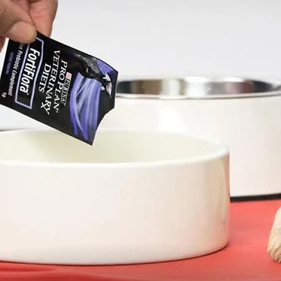 Пробіотики для собак: користь для травлення - 412x412