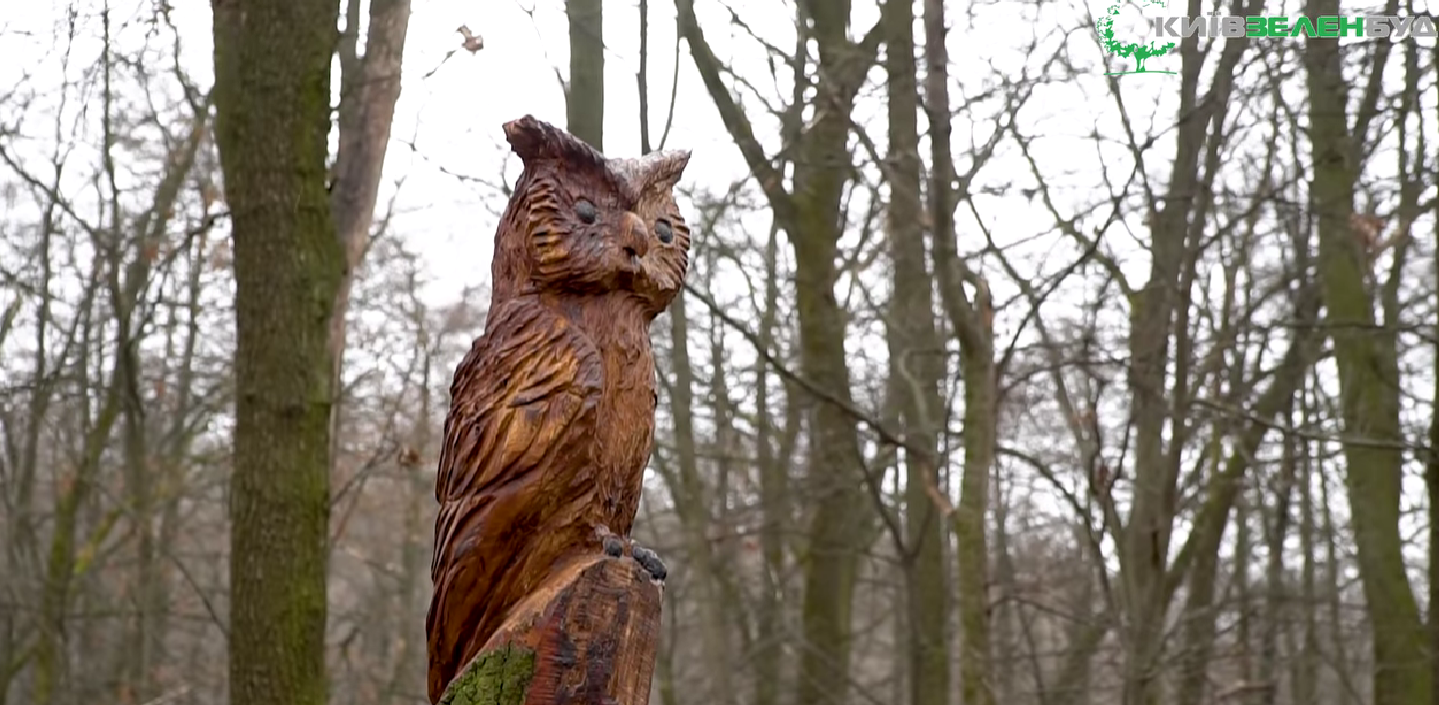 У київському парку чоловік вирізає скульптури із сухих дерев