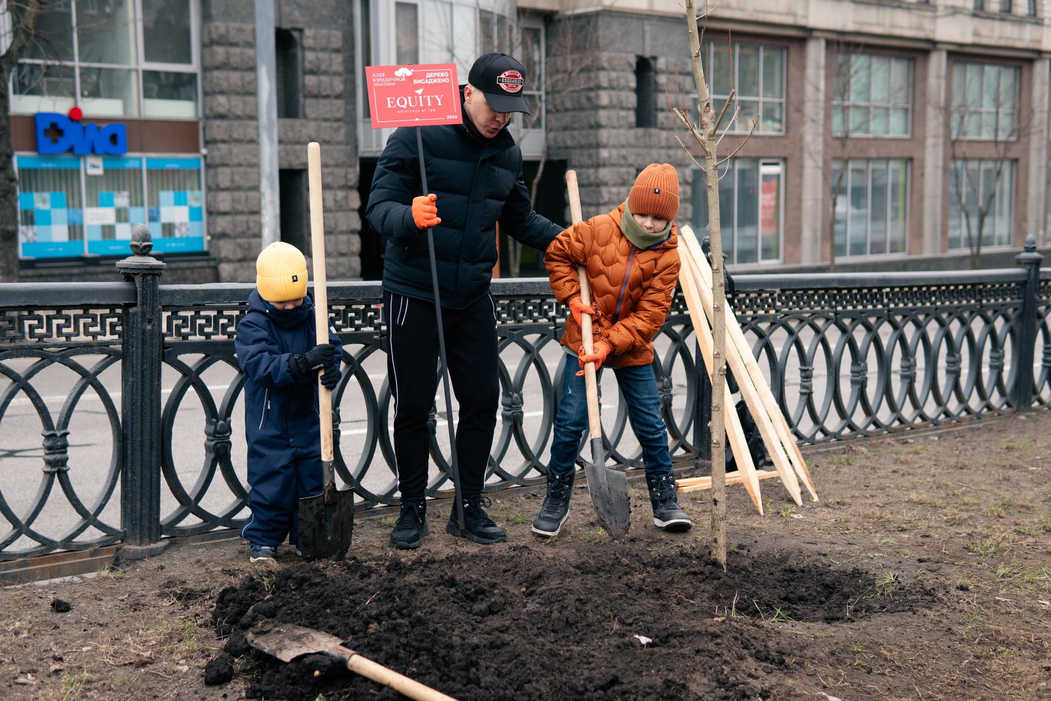 У центрі Києва висадили тополі, які не викликають алергічної реакції