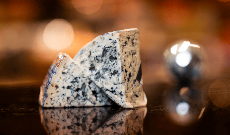 Горгонзолла