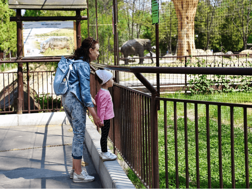 скільки коштує дитячий квиток у зоопарк у Києві
