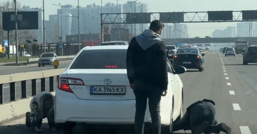 кошеня врятували посеред траси на Бажана