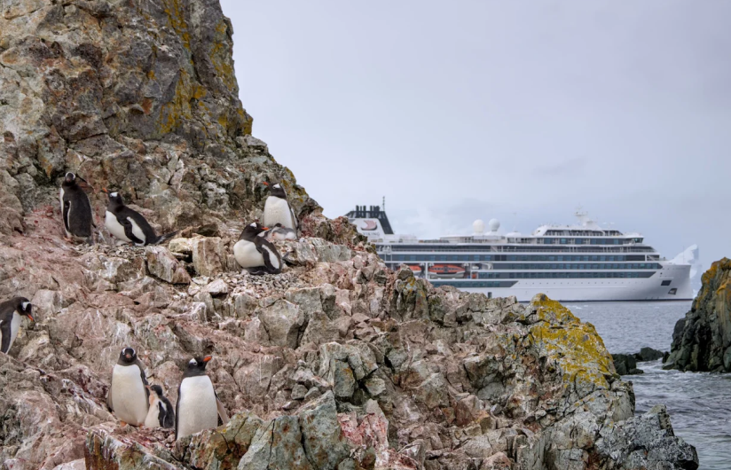 пінгвіни і регульований туризм в Антарктиці