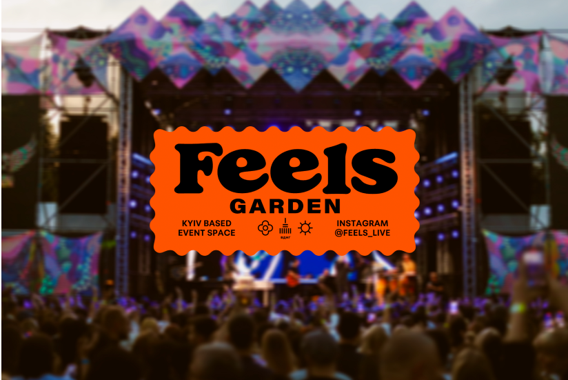 Команда В'яви запускає проєкт Feels