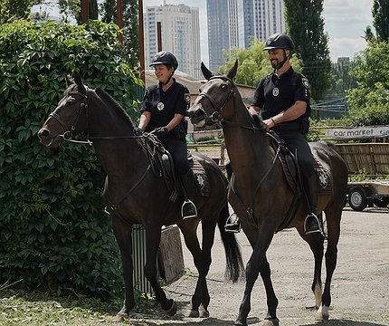 Запрягайте, копи, коней: як працює кінна поліція Києва - 412x412