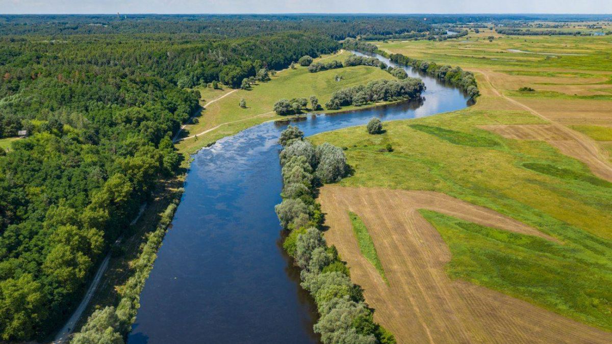 Забруднення Десни: яка зараз якість води