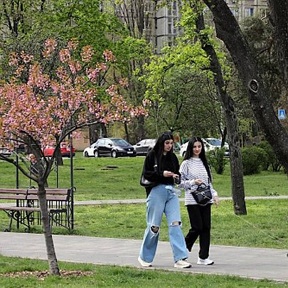 Медики попереджають киян про загрозу хвороби Лайма: куди звертатися при перших симптомах - 412x412
