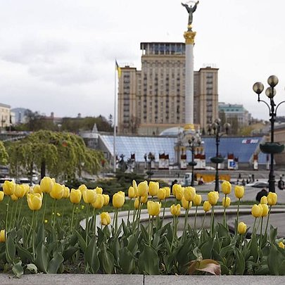 У Києві розпочався сезон цвітіння тюльпанів: список локацій - 412x412