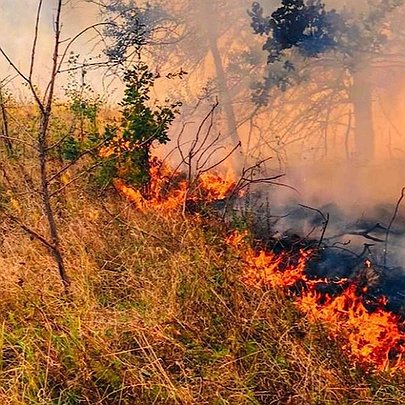 В Києві та області оголошено надзвичайний рівень пожежної небезпеки: що відомо - 412x412