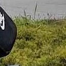На станції метро "Сирець"  замість демонтованих МАФів облаштували зелену зону - 412x412