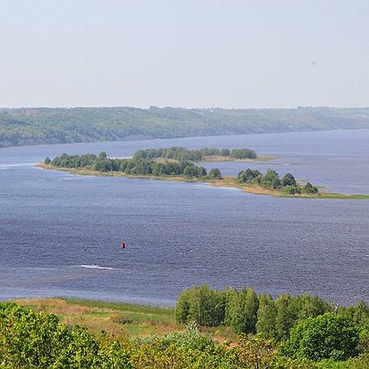 Ділянку на Дніпровських островах назвуть на честь Володимира Борейко — загиблого еколога-активіста - 412x412