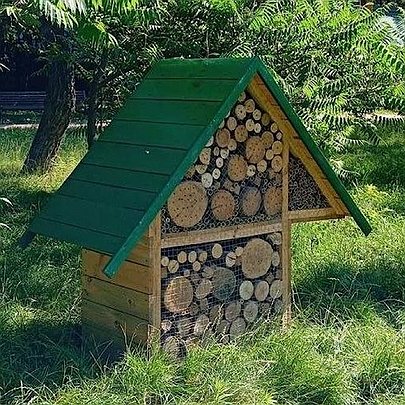 У парках і скверах Києва облаштовують будиночки для комах: який вони мають вигляд - 412x412
