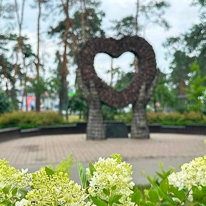 У Києві триває сезон цвітіння гортензій: перелік локацій з пишним цвітінням - 412x412