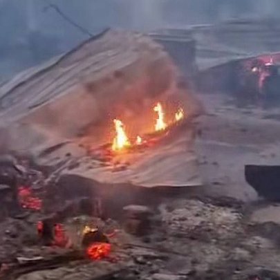 У притулку "Сіріус" сталася пожежа: загинули 8 собак, а інші потребують допомоги - 412x412