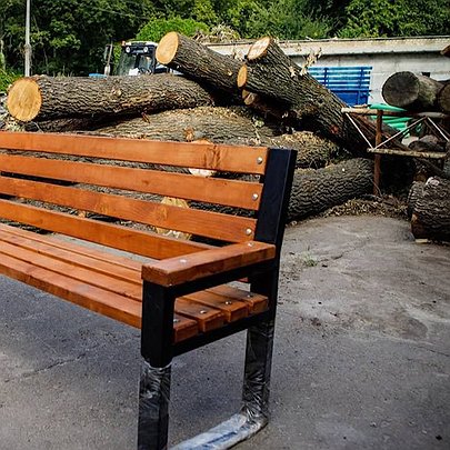 Вирублені дерева на Теремках під час будівництва тепломережі використають для благоустрою Києва - 412x412