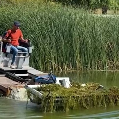 У парку Відрадний очищують озеро від водоростей: як справляється машина-амфібія - 412x412