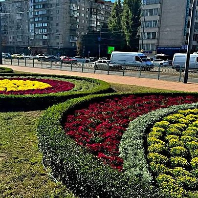 На площі Лесі Українки в Києві облаштували яскраві осінні квітники: який тепер вони мають вигляд - 412x412