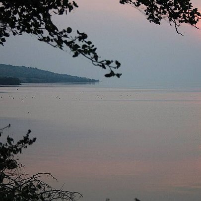 На місці Каховського водосховища відновлюються степи: природна зона може сягнути 300 тисяч гектарів - 412x412