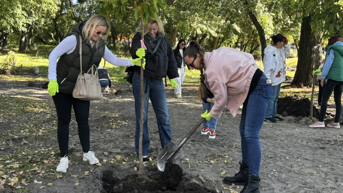 На Долобецькому острові висадили близько півсотні катальп: фото